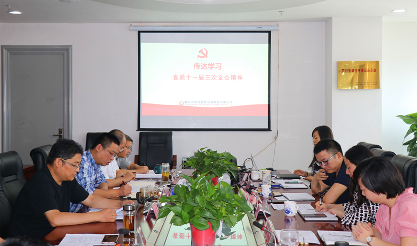 集團(tuán)公司黨委書記、董事長姜俊宣講省委十一屆三次全會精神